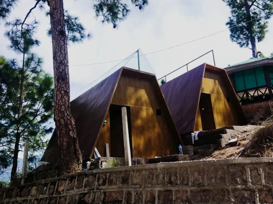 Two wooden A-frame prefab cabins among pine trees on a hillside